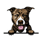 Brown Animal-Dog-Pit-Bull-6yhkmb-Color-Peeking