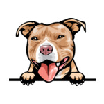 Light Brown Animal-Dog-Pit-Bull-8jjj4rfffff-Color-Peeking