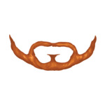 Beard---Ginger