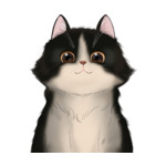 Long Hair Cat--(17)