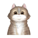 Long Hair Cat--(7)