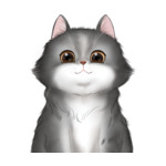 Long Hair Cat--(9)