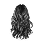 Black Curl_6-5