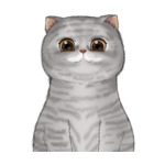 Short Hair Gray-Gray-Stripes