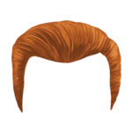 Ginger Medium---Ginger