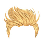 Blonde Mohawk