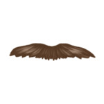 beard-style-2-(9)