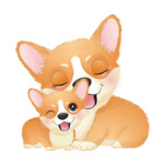 corgi