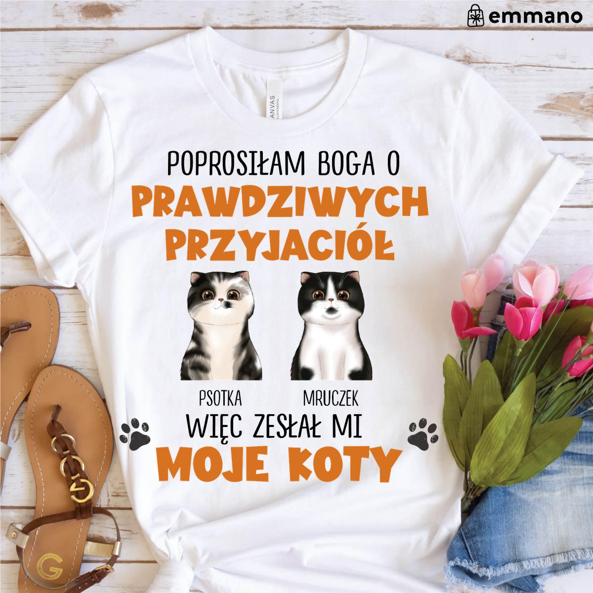 Prawdziwi przyjaciele - Koty